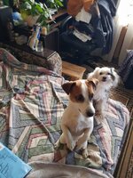 20190914_162921.jpeg