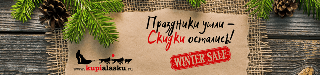 winter sale (1).png