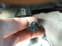 IMG_20200314_171252.jpeg