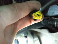 IMG_20200314_171234.jpeg
