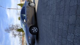 IMG_20200416_163459.jpg