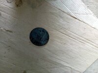 IMG_20200628_131418.jpeg