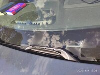 IMG_20200809_152920.jpeg