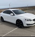 IMG_1780.jpg