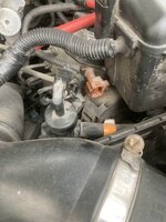 IMG_9925.jpg