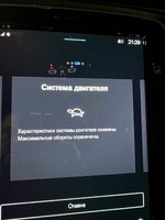 IMG_2981.jpeg