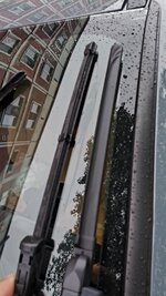 IMG_20250804_192214.jpg