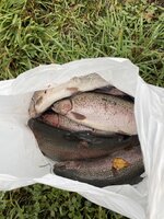 IMG_6221.JPG