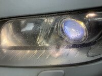 IMG_0228.jpg