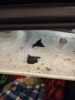 WhatsApp Image 2025-10-31 at 14.49.59.jpeg