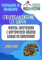 2026-02-02 19.52.26.jpg 2026-02-02 19.52.26.jpg