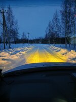IMG_20260201_172859_513.jpg