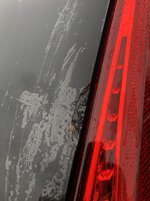 IMG_6684.JPG