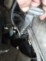 IMG_20190123_151203.jpeg