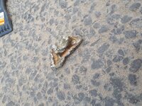 20190515_114321.jpg