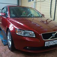 Nikolay s40